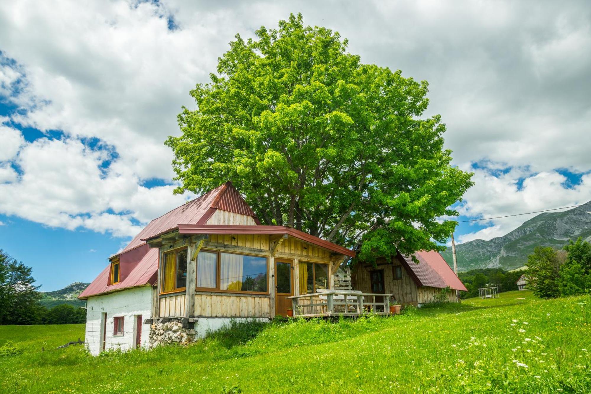 Maple Village Žabljak